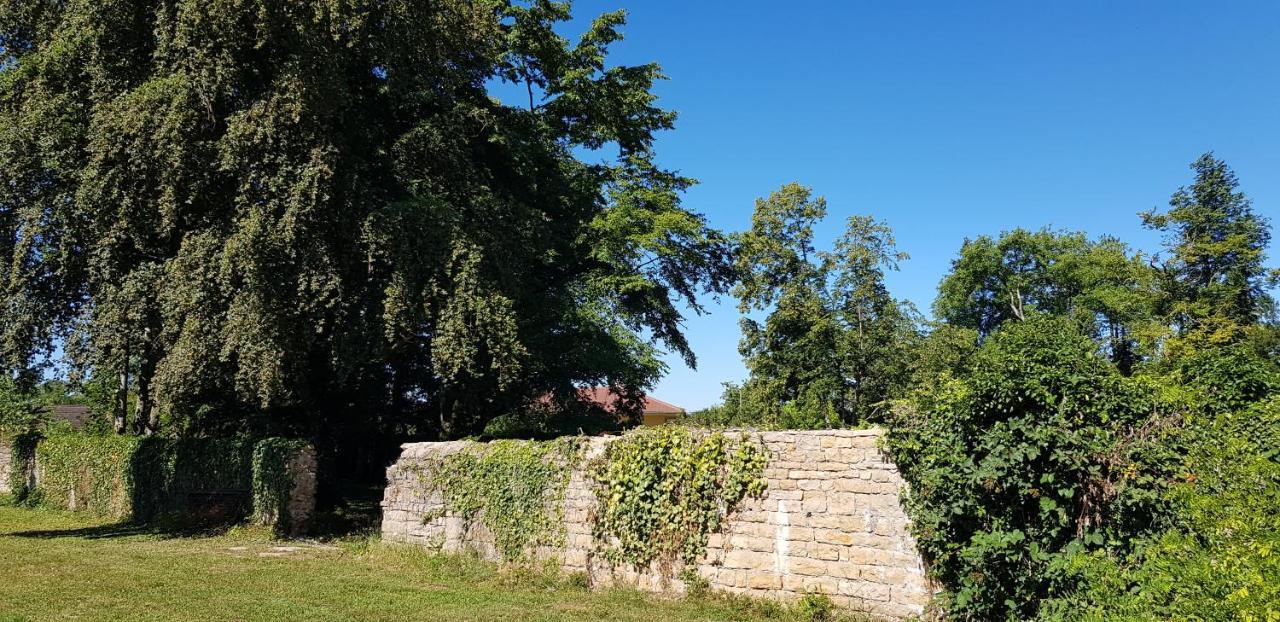Le 49 Cote Parc & Spa Domblans Екстериор снимка